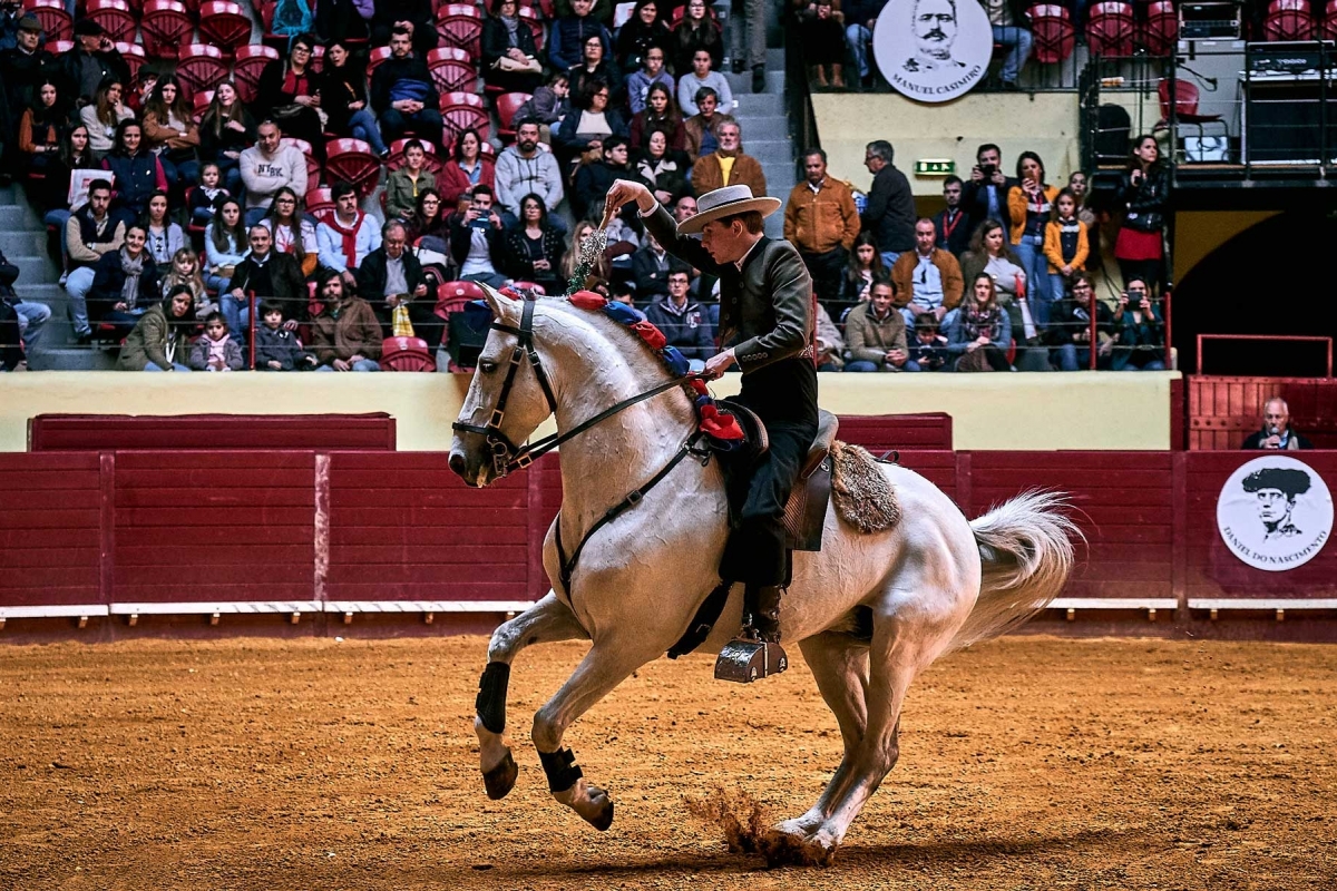 Demonstração de Toureio Cavalo2