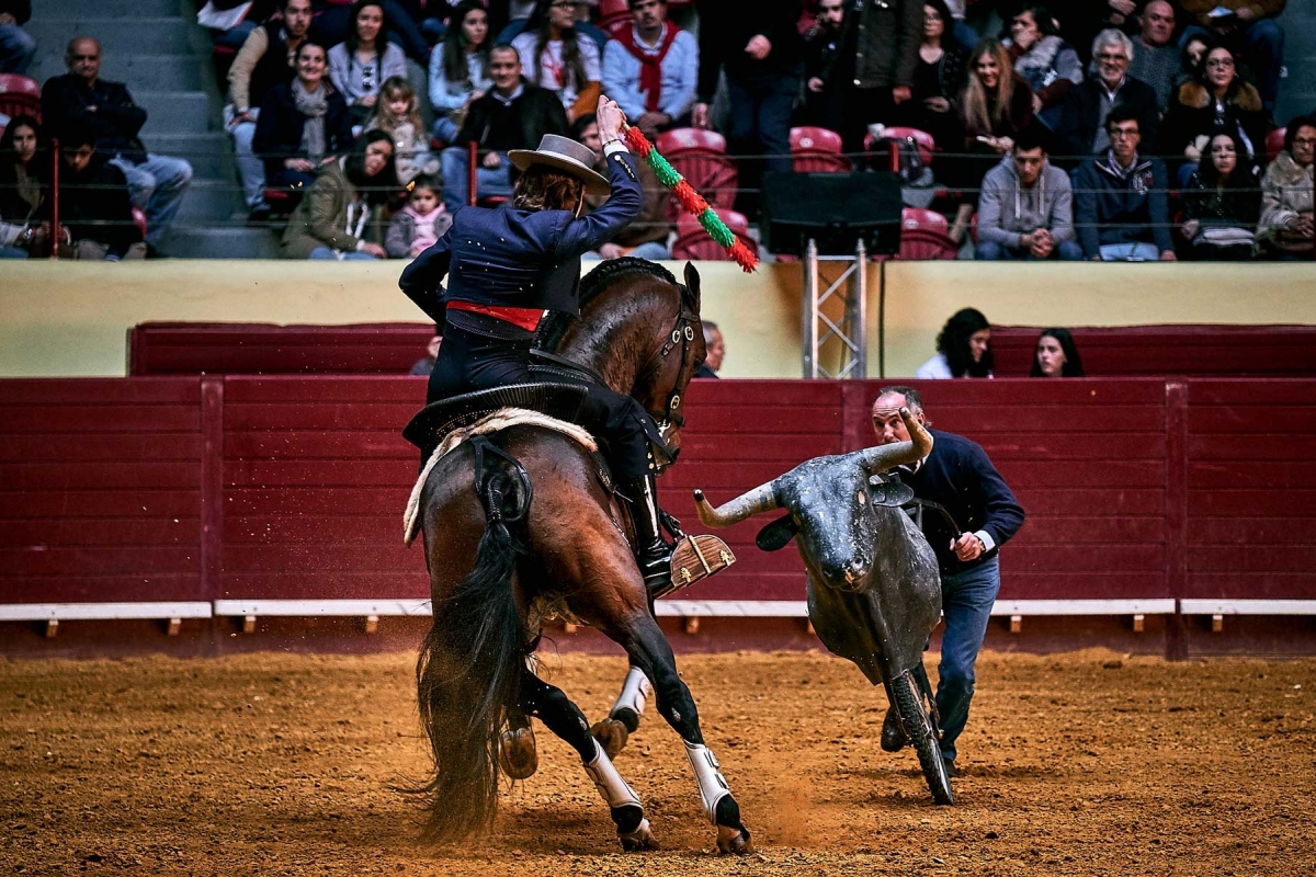Demonstração de Toureio Cavalo15