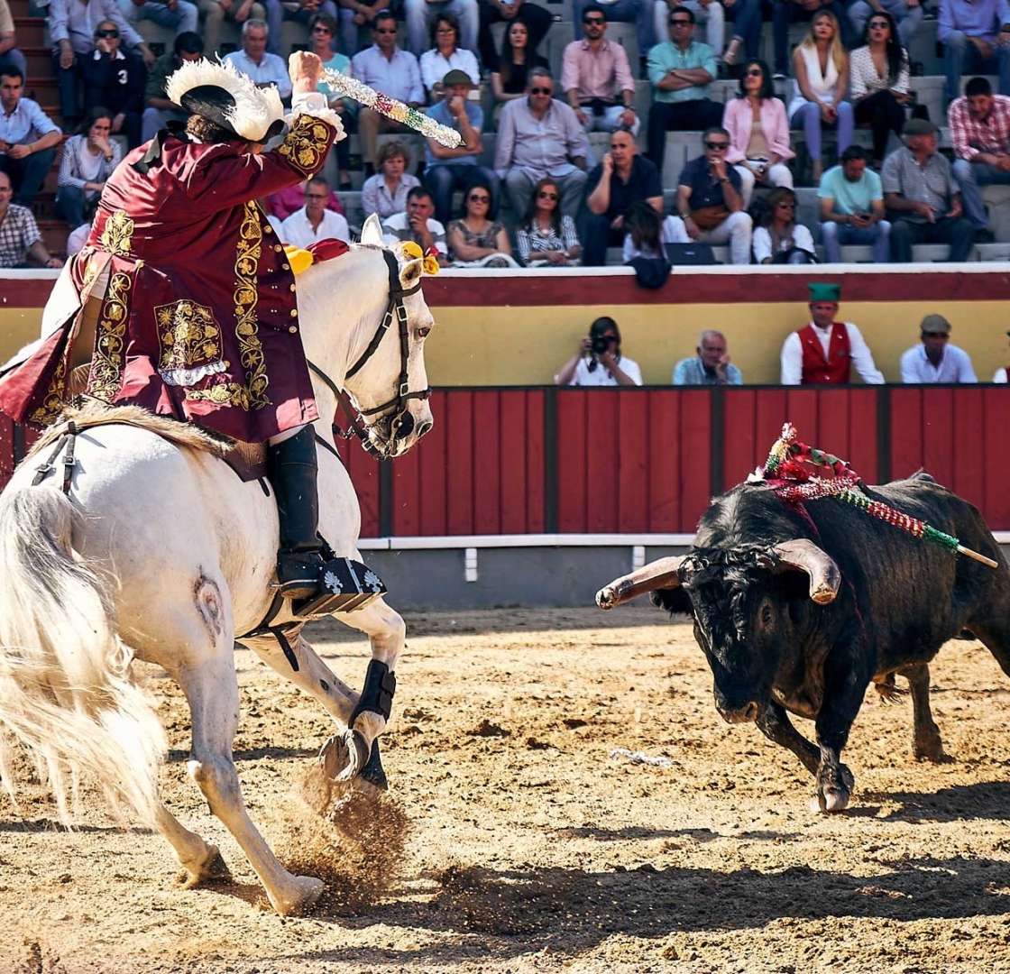 TOURADAS Tudo o que precisas saber sobre as Touradas em Portugal