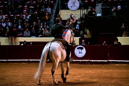 Demonstração de Toureio Cavalo